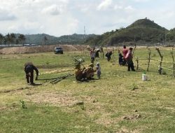 ITDC PHP, Warga Pagari Tanahnya