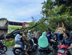 Polsek Pratim Gerak Cepat, Bantu Masyarakat Evakuasi Pohon Tumbang di Jalan Raya