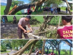 Kasat Samapta Polres Loteng, Terjunkan Anggota Lakukan Perampingan