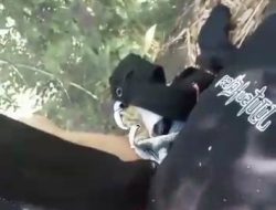 Sempat Viral, Pelaku Esek Esek Sudah Nikah