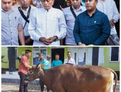 PDAM Loteng, Serahkan Satu Ekor Sapi Kepada Warga Sumber Mata Air