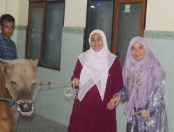 Megawati Lestari, Serahkan Bantuan Sapi Untuk Ponpes QH Bagu