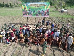 Jaga Ketahanan Pangan, Kodim 1620 Bersama Kemhan dan Masyarakat, Tanam Jagung di Selong Belanak