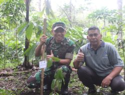 Dandim Loteng Tanam Pohon Di Hari Lingkungan Hidup