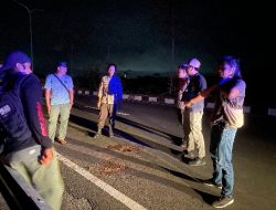 Dikira Korban Curas, Tapi Korban Aspal