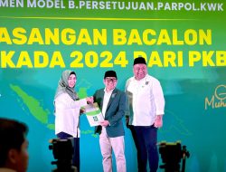 Timses Rohmi Firin, Optimis Menang di Pilkada NTB