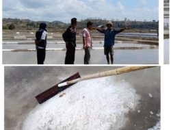 Diskanlut Loteng Lampaui Target Produksi Garam