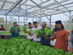Pemdes Segala Anyar, Sukses Kembangkan Bertani Sayuran Ala Modern