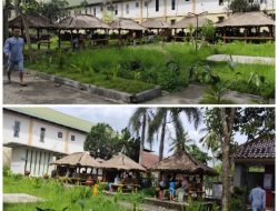 Bikin Lidah Menari Nari, Sajian RM Diwe Dapur Praya Asik Dan Enak, Bikin Ketagihan