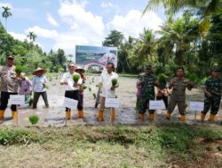 Loteng Dukung Swasembada Pangan Nasional
