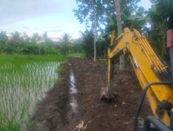 Belah Sawah Dijadikan Jalan, Anggota Satgas TMMD Ke-124 Turunkan Alat Berat di Mangkung