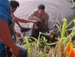 Polres Loteng Evakuasi Penemuan Mayat di Aliran Sungai Kemulah