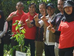 Peringati Hari Bumi, PDAM Loteng Tanam Pohon Buah di Kawasan Hutan Lindung