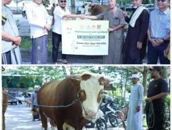 Hj. Sari Serahkan 1 Ekor Sapi Qurban Untuk Masyarakat Loteng