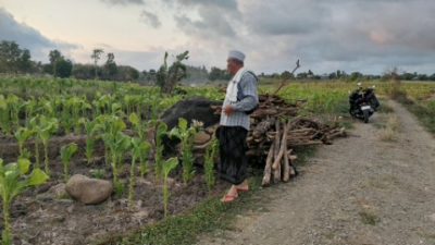 Jika Somasi Ke Dua Buntu, HL. Marzuki Bakal Laporkan Pemdes Sukaraja Ke APH